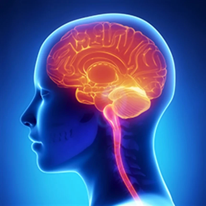 Insanlarin-Bes-Degil-33-Duyusu-Olabilir.webp İnsanların Beş Değil, 33 Duyusu Olabilir