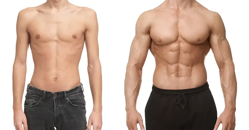 Vücut Geliştirme Gerçekleri